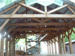 rafters-thm.jpg - 16018 Bytes
